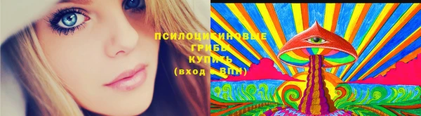 прущие грибы Белокуриха