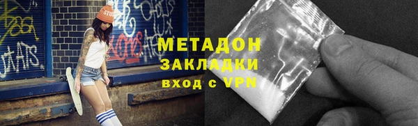прущие грибы Белокуриха