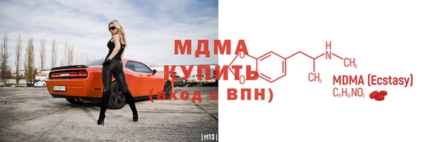 прущие грибы Белокуриха