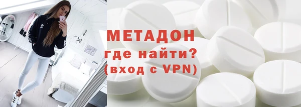 прущие грибы Белокуриха