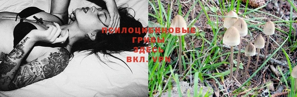 ГАЛЛЮЦИНОГЕННЫЕ ГРИБЫ Беломорск