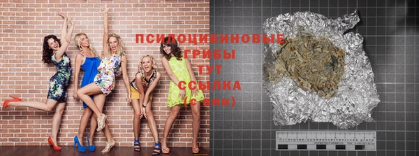 прущие грибы Белокуриха