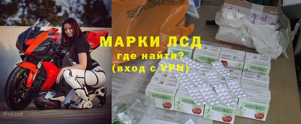 прущие грибы Белокуриха