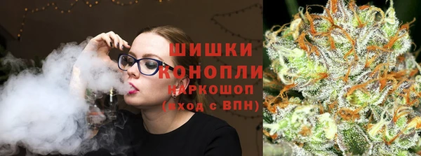 прущие грибы Белокуриха