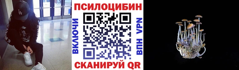 Псилоцибиновые грибы мухоморы  наркота  Благодарный 